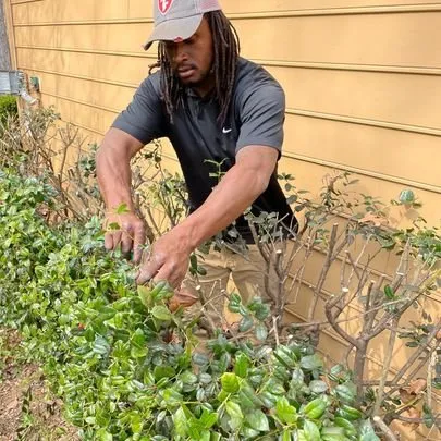 Top-rated yard maintenance in Euharlee, GA - Ndeed Scapes