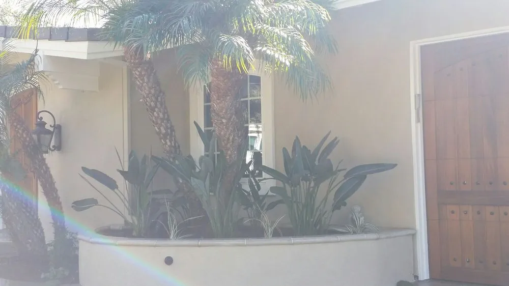 Professional lawn care service in Orange, CA by NDM Landscape services