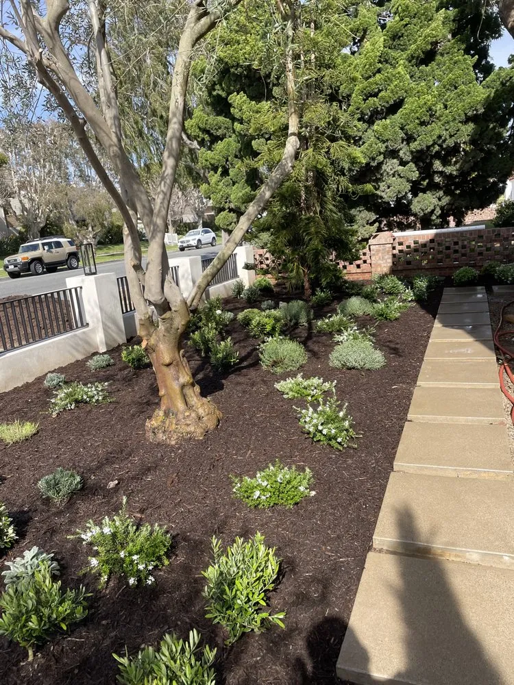 Professional landscaping services for outdoor upgrades across Orange, CA - NDM Landscape services