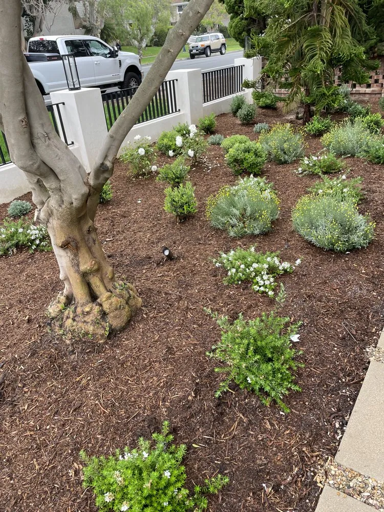 Reliable residential landscaping in Orange, CA - NDM Landscape services