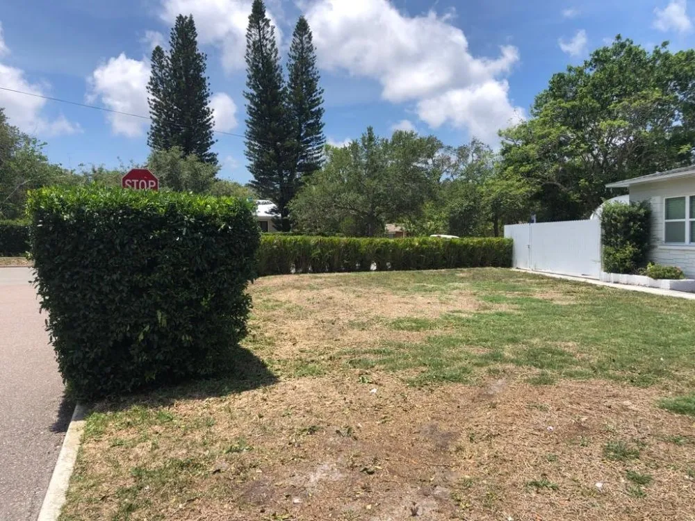 Professional lawn care service in Spring Hill, FL by NDS Land Care & Services