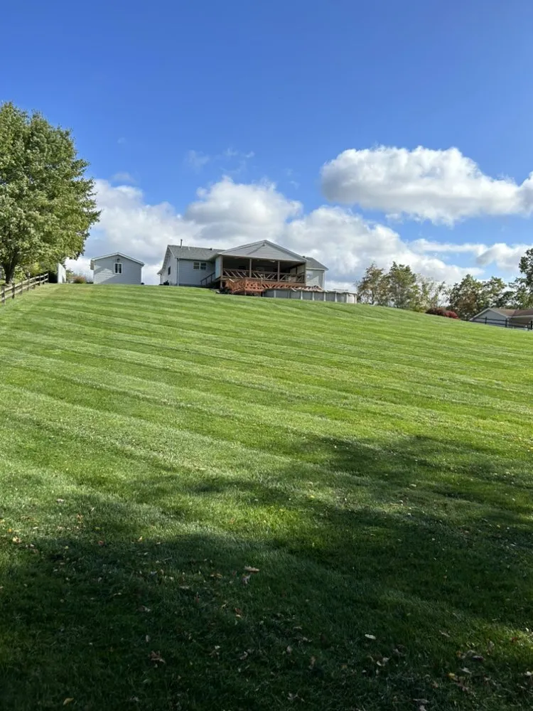 Professional lawn care service for homes across Freeport, PA - NE Elite Landscaping