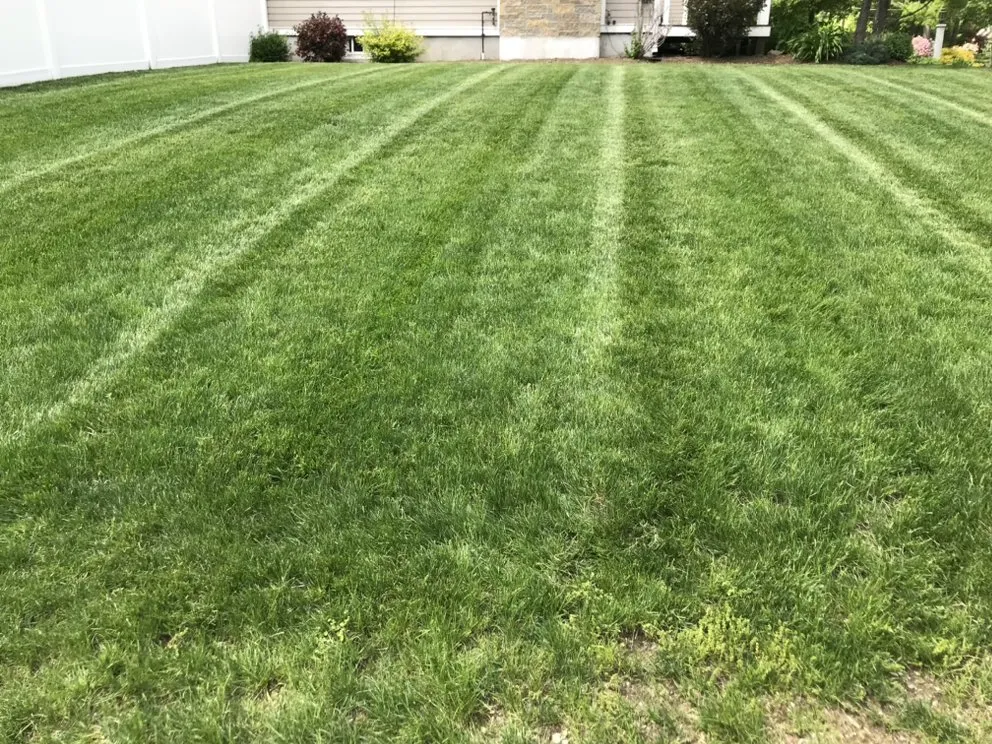 Reliable outdoor landscaping in Freeport, PA by NE Elite Landscaping