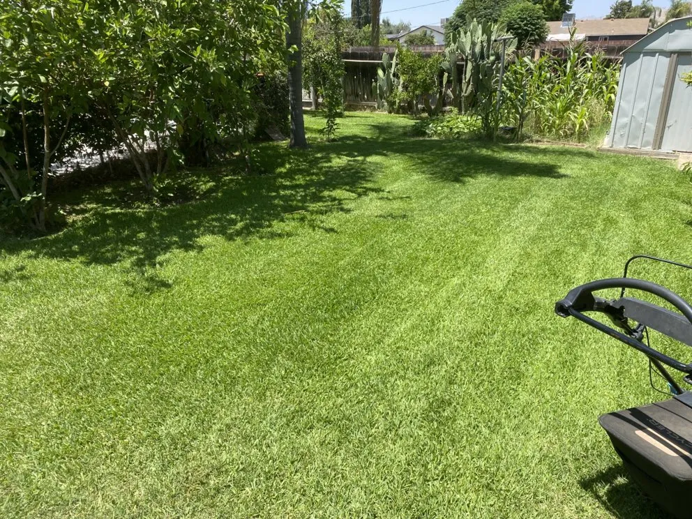 Local residential landscaping experts serving Woodlake, CA - N&E Lawn & Garden Services
