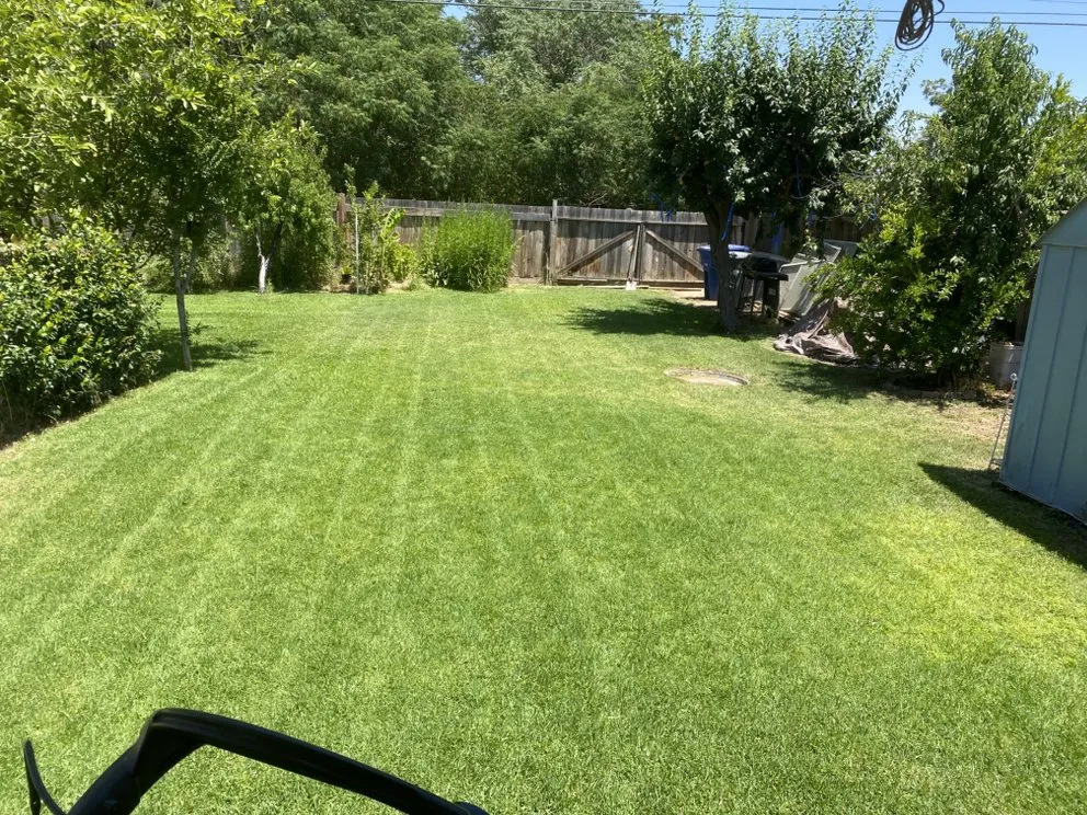 Trusted outdoor landscaping in Woodlake, CA - N&E Lawn & Garden Services