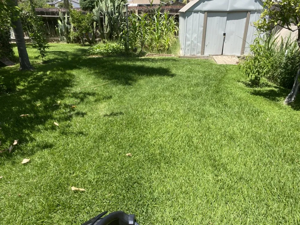 Trusted outdoor landscaping in Woodlake, CA - N&E Lawn & Garden Services