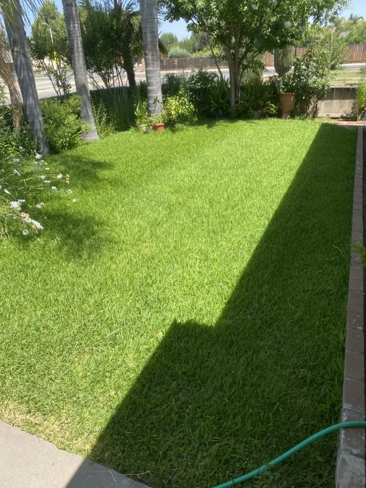 Expert lawn care service experts serving Woodlake, CA - N&E Lawn & Garden Services