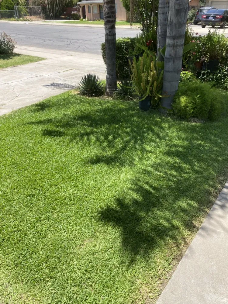 Local landscape installation near you across Woodlake, CA - N&E Lawn & Garden Services