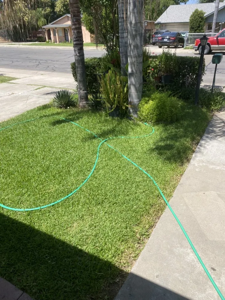 Top-rated yard cleanup service experts serving Woodlake, CA - N&E Lawn & Garden Services