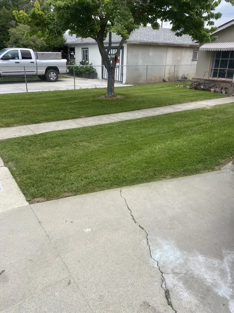 Top-rated lawn care service for homes in Woodlake, CA by N&E Lawn & Garden Services