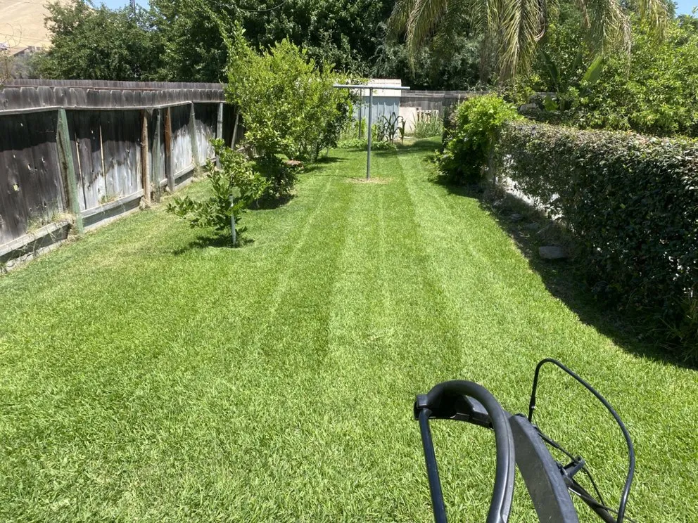 Custom landscaping services in Woodlake, CA - N&E Lawn & Garden Services