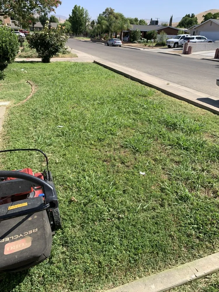 Reliable yard maintenance experts serving Woodlake, CA - N&E Lawn & Garden Services