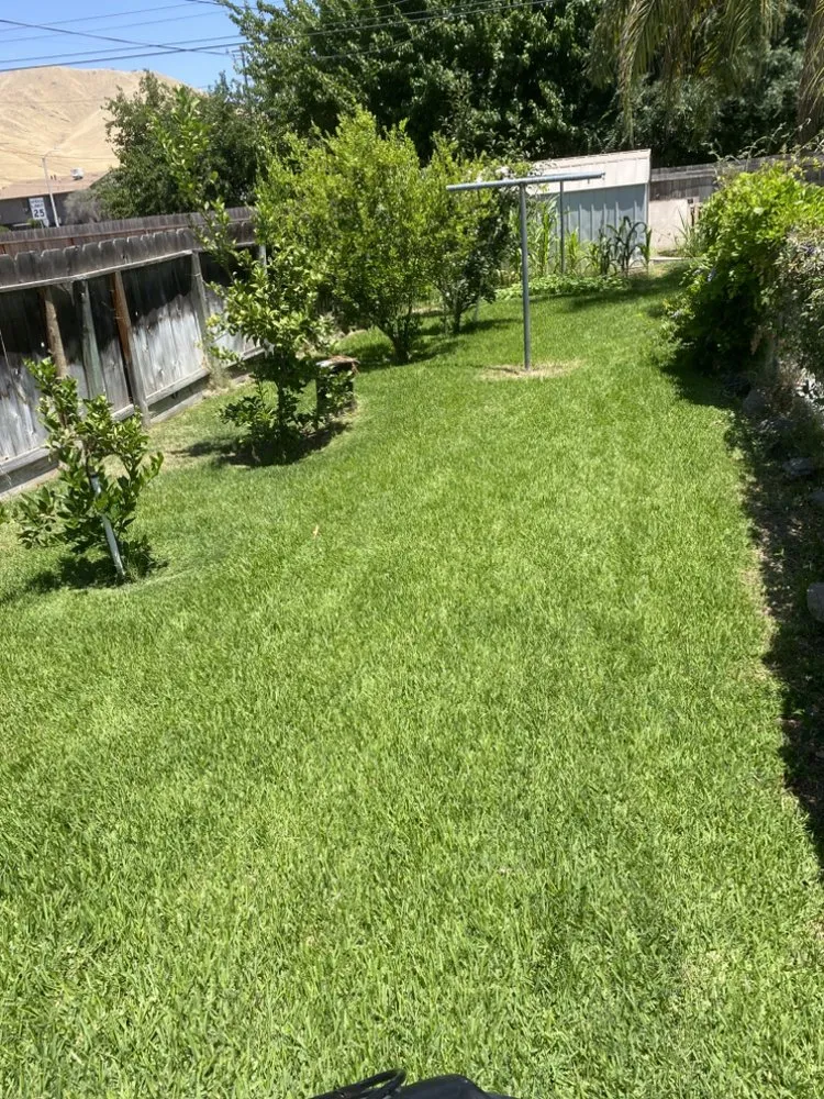 Reliable landscaping services for residential properties in Woodlake, CA by N&E Lawn & Garden Services