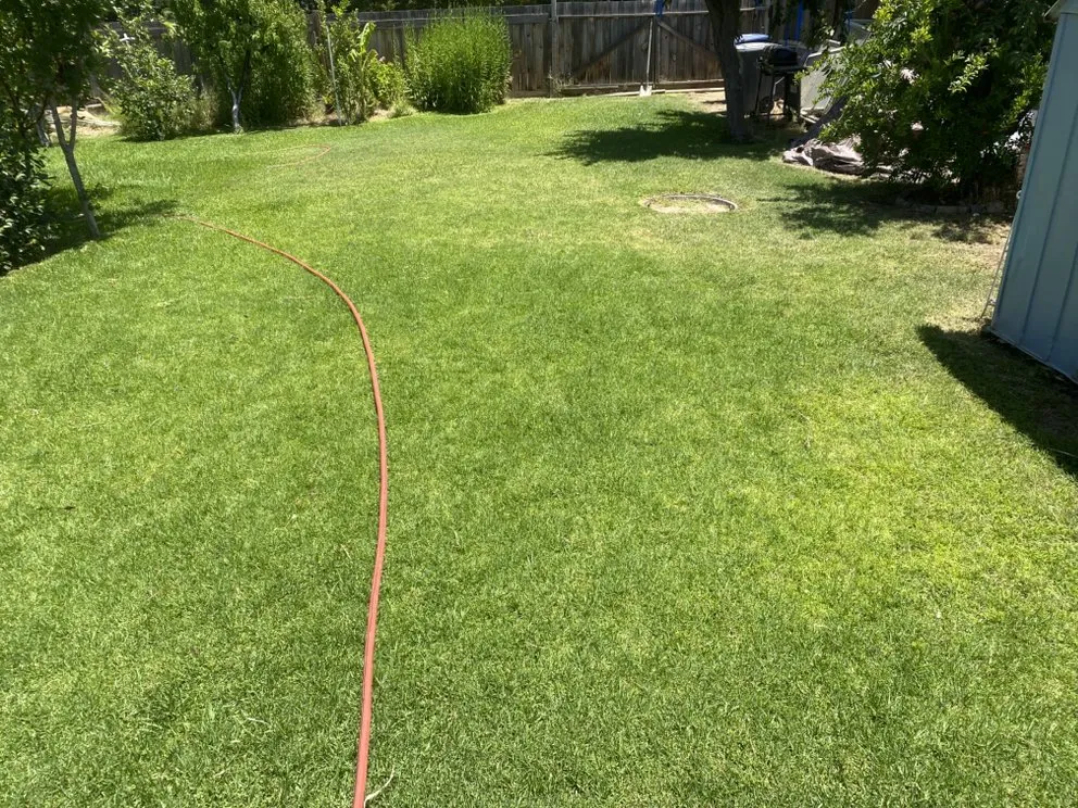 Top-rated yard maintenance experts serving Woodlake, CA - N&E Lawn & Garden Services