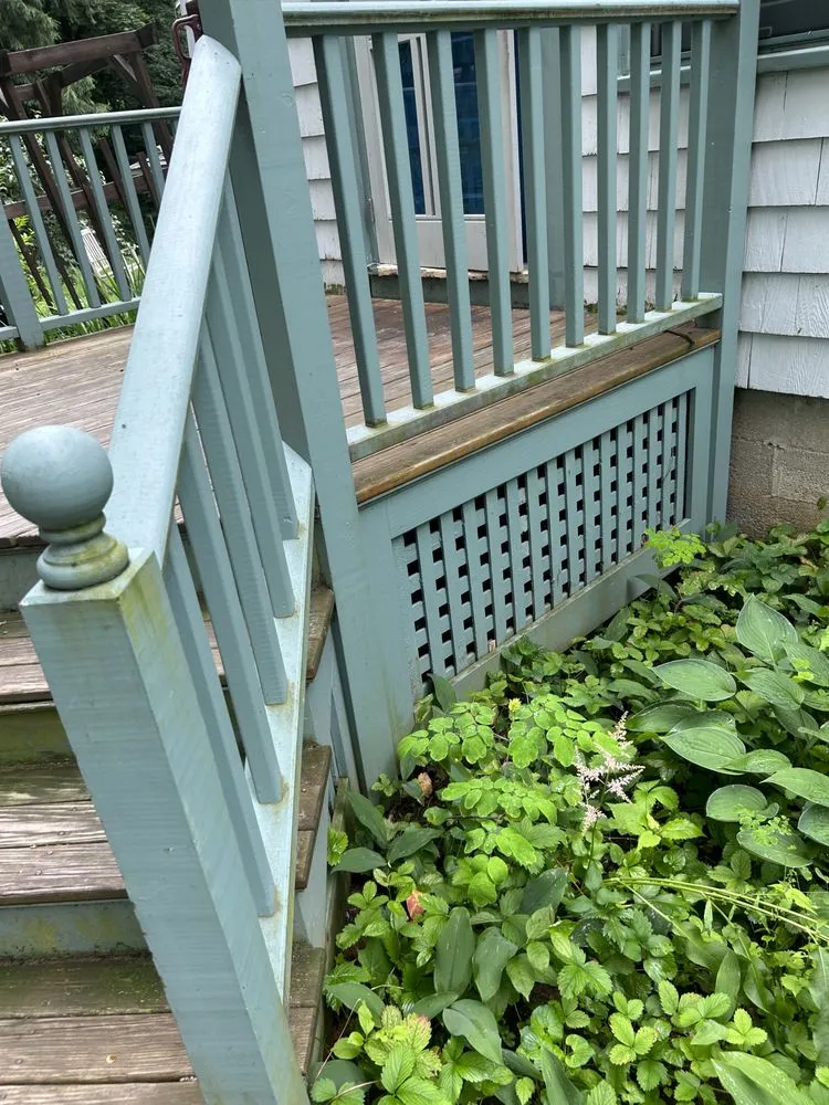 Reliable lawn care service experts serving Portland, ME - N&E Property Services