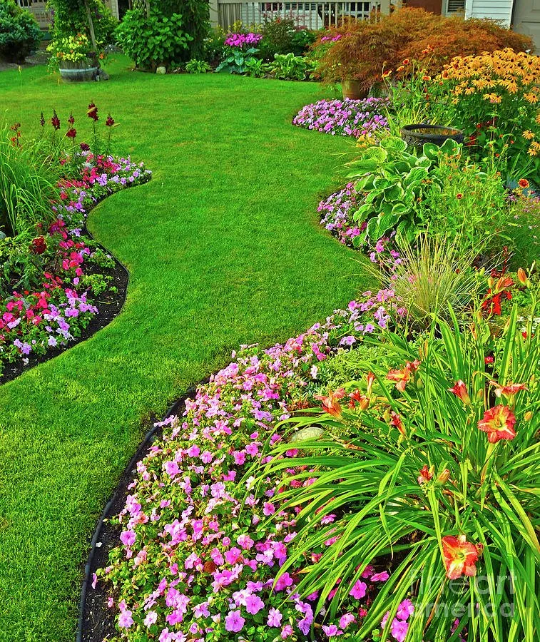 Affordable landscape installation experts serving Bono, AR - NEA Greens