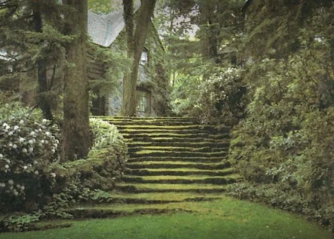 Local yard cleanup service in Napa, CA - Neadho Landscaping