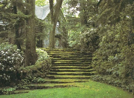 Top-rated yard maintenance for residential properties in Napa, CA by Neadho Landscaping