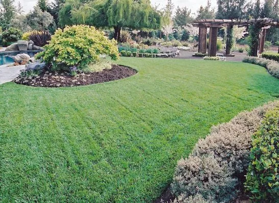 Trusted lawn mowing service with custom design across Napa, CA - Neadho Landscaping