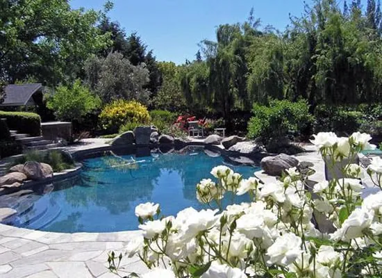Trusted yard maintenance in Napa, CA - Neadho Landscaping