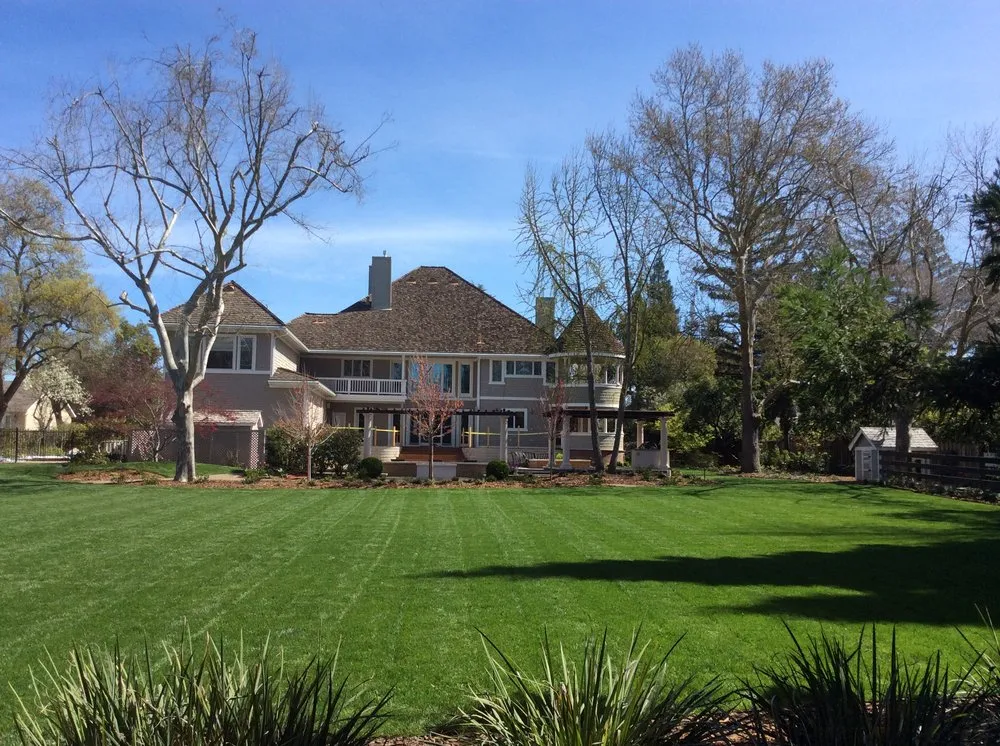Custom yard cleanup service in Napa, CA - Neadho Landscaping