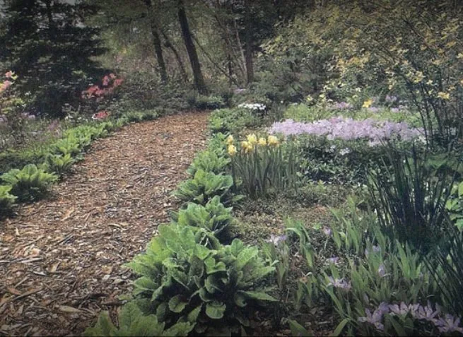 Reliable landscape design in Napa, CA by Neadho Landscaping