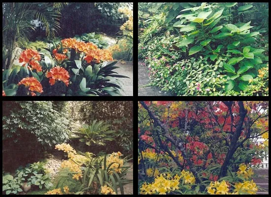 Reliable yard cleanup service with custom design across Napa, CA - Neadho Landscaping