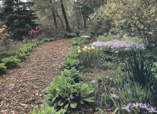 Expert landscaping services for homes across Napa, CA - Neadho Landscaping