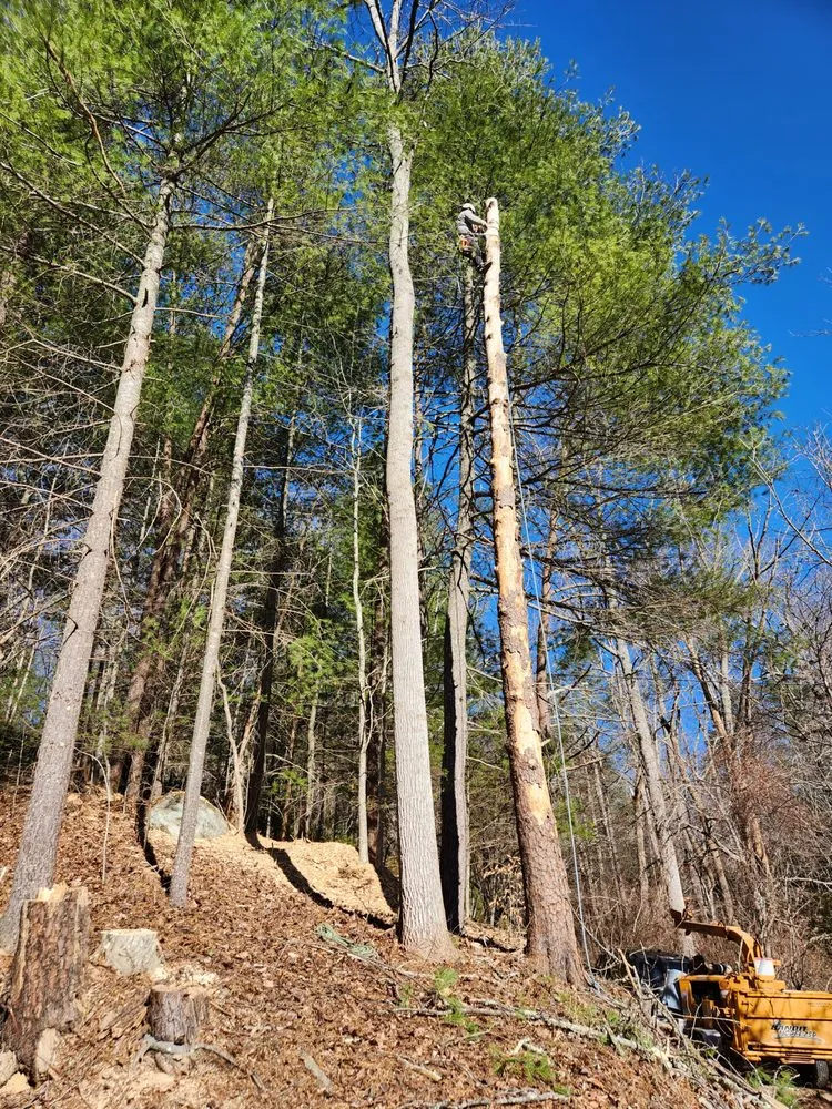 Professional landscape installation with custom design across Roanoke, VA - Neal Enterprises