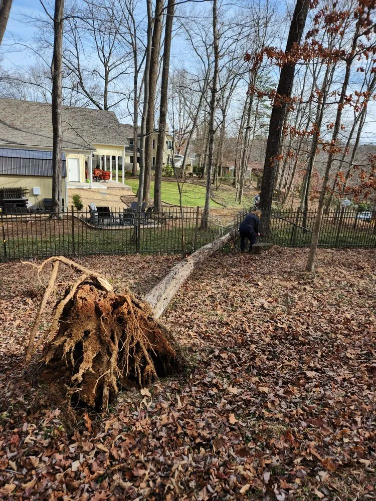 Local lawn care service in Roanoke, VA - Neal Enterprises