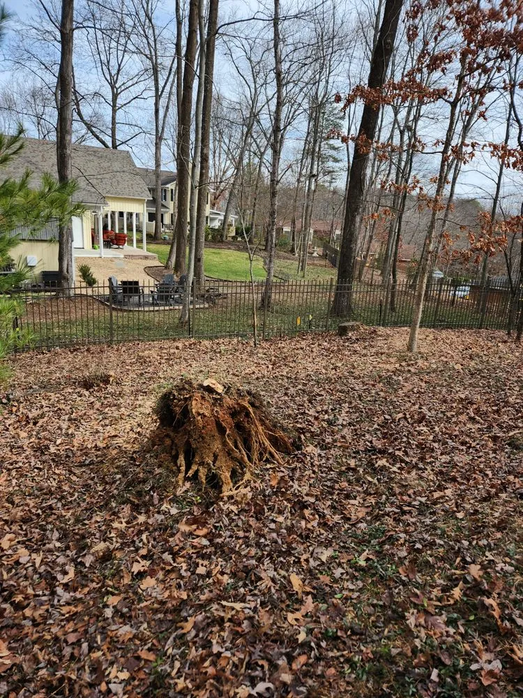 Reliable lawn mowing service for year-round maintenance across Roanoke, VA - Neal Enterprises