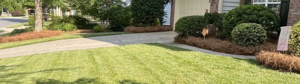 Expert lawn care service experts serving Kannapolis, NC - Neal Lawn Care