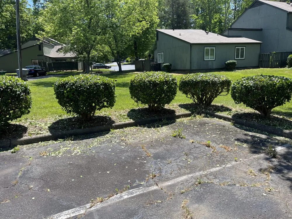 Trusted yard cleanup service in Kannapolis, NC - Neal Lawn Care