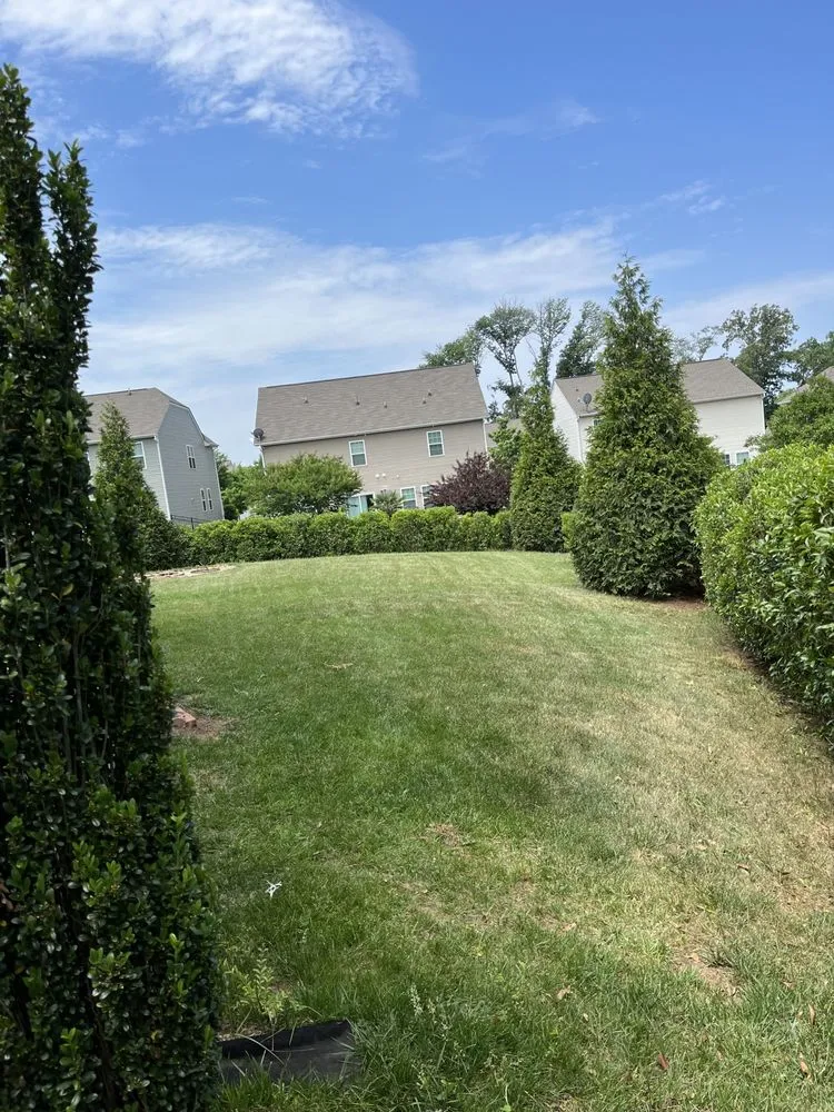 Affordable landscape design for outdoor upgrades across Kannapolis, NC - Neal Lawn Care