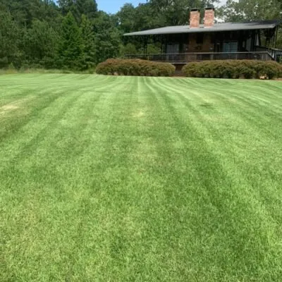 Affordable residential landscaping for outdoor upgrades across York, SC - Neal Property Group Landscapes