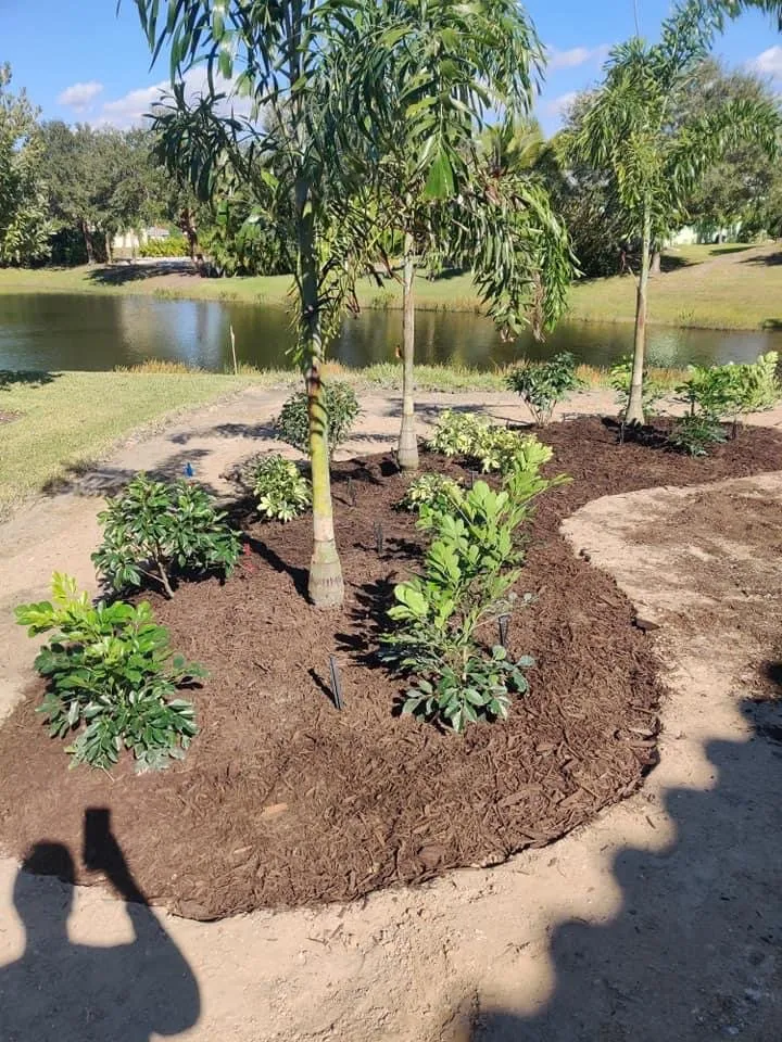 Professional lawn care service in Port Charlotte, FL by Neals All Property Maintenance