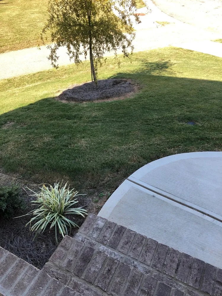 Custom landscape installation experts serving Evans, GA - Neal's Landscaping And Lawncare