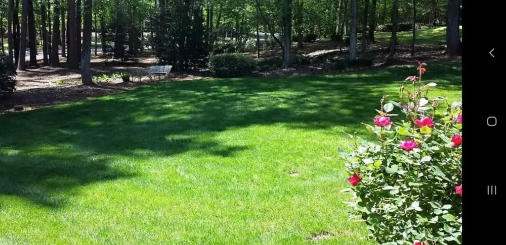 Top-rated yard maintenance in Evans, GA - Neal's Landscaping And Lawncare