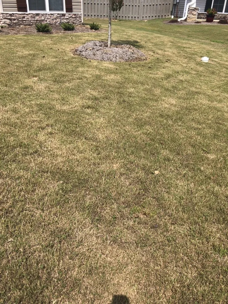 Top-rated garden landscaping in Evans, GA - Neal's Landscaping And Lawncare