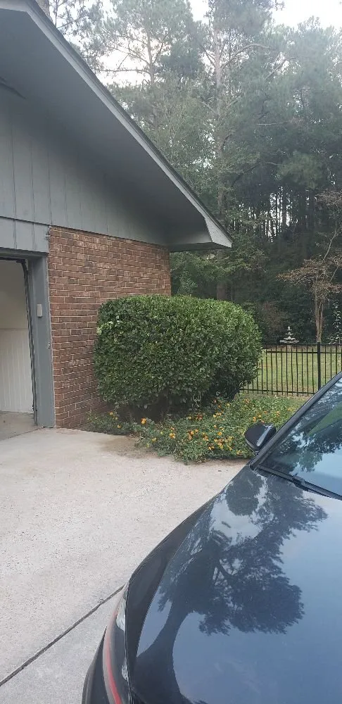 Affordable lawn mowing service for year-round maintenance across Evans, GA - Neal's Landscaping And Lawncare