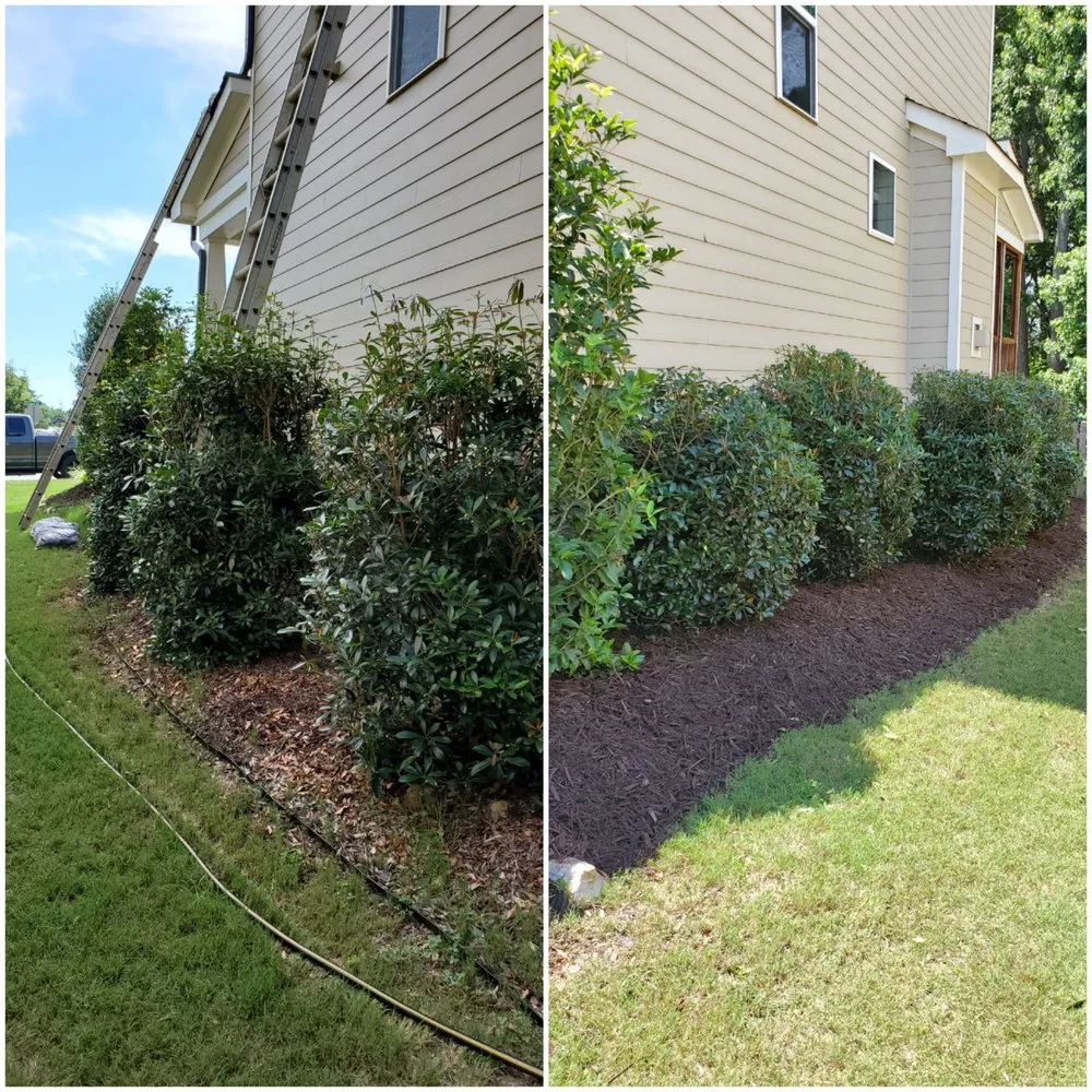 Custom landscaping services near you in Clayton, NC by Neal's Lawn Care
