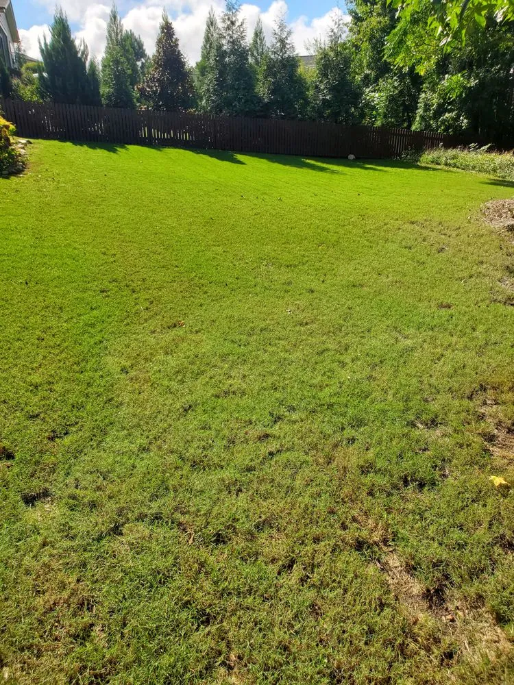 Professional lawn care service in Clayton, NC - Neal's Lawn Care