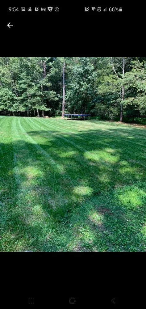 Top-rated landscaping services experts serving Clayton, NC - Neal's Lawn Care