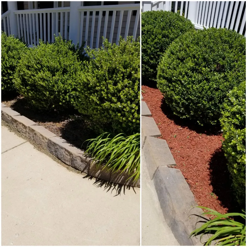 Professional lawn mowing service for outdoor upgrades across Clayton, NC - Neal's Lawn Care