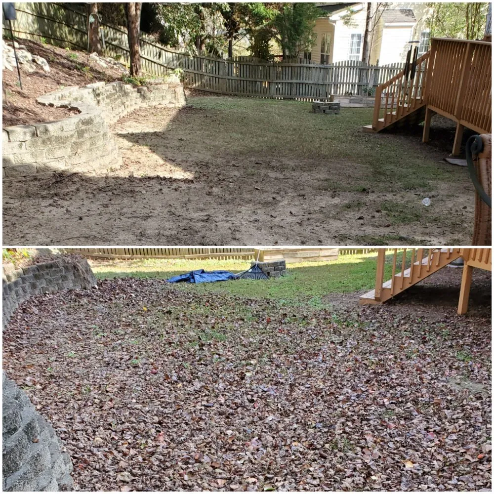 Expert yard maintenance experts serving Clayton, NC - Neal's Lawn Care