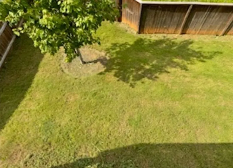 Top-rated landscape installation experts serving Covington, GA - Neal’s Lawn Care