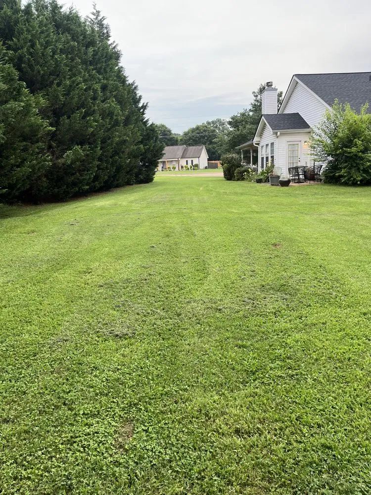 Professional outdoor landscaping for year-round maintenance in Covington, GA by Neal’s Lawn Care