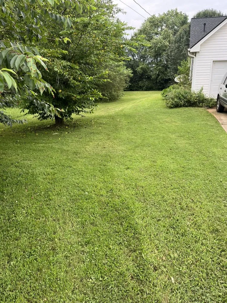 Custom landscape installation near you in Covington, GA by Neal’s Lawn Care