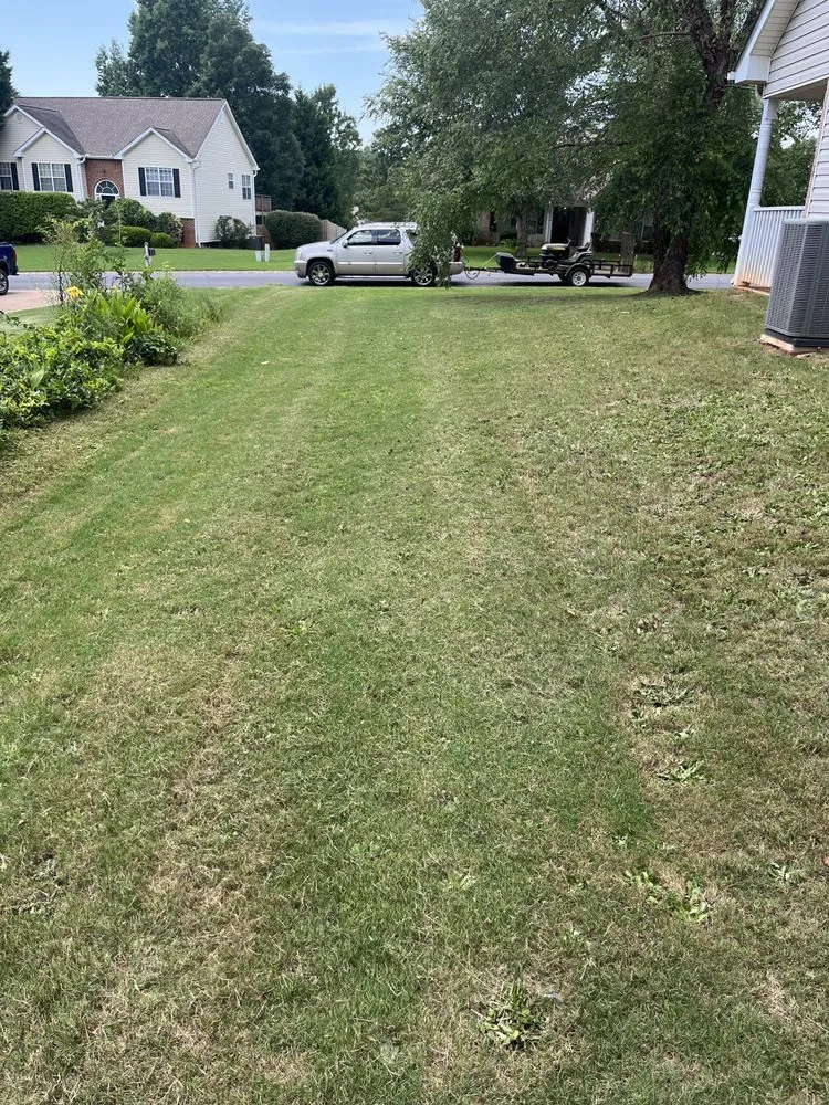 Custom garden landscaping for year-round maintenance across Covington, GA - Neal’s Lawn Care