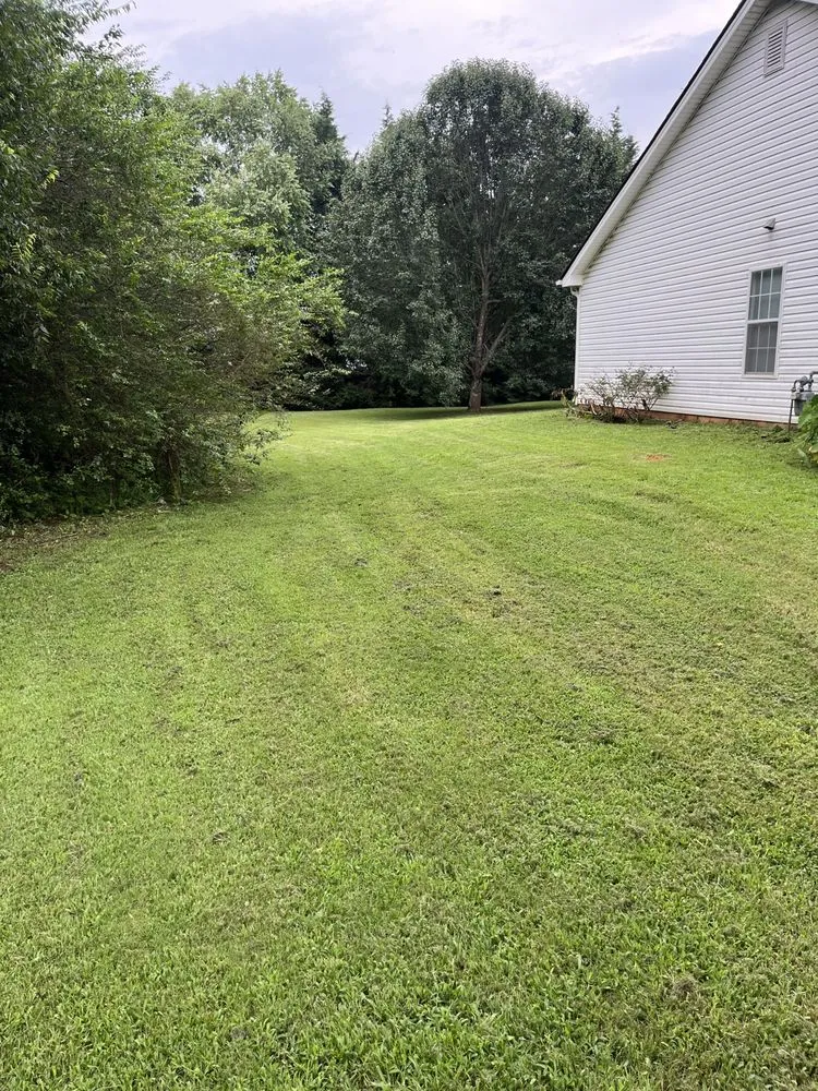 Reliable yard cleanup service experts serving Covington, GA - Neal’s Lawn Care